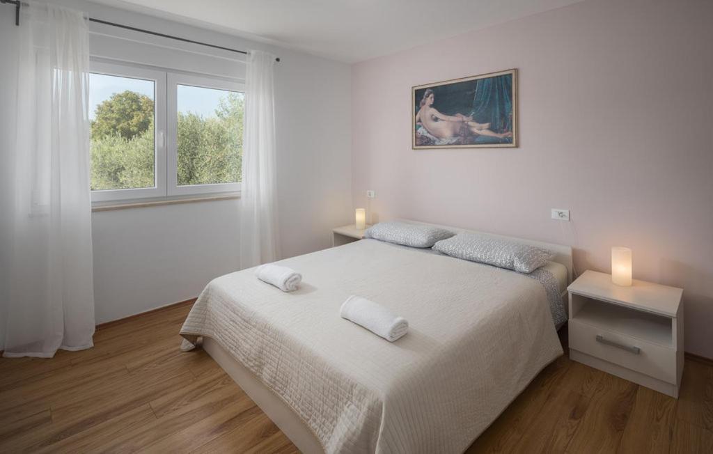 Villa Viktoria Poll&Garden View Kaštelir Kültér fotó